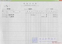 明细账打印